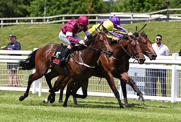 Noche Magica (nearest) fights out the finish of the Marble Hill Stakes