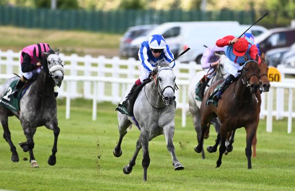 Art Power (centre) seen winning last year's Weatherbys Ireland Greenlands Stake 