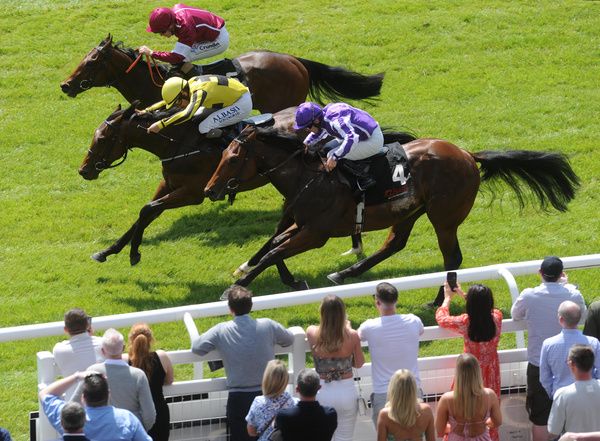 Givemethebeatboys (yellow) winning last year's Marble Hill 