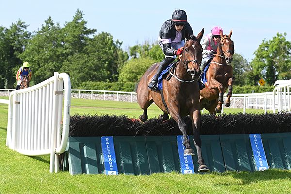 An Mhi leads Misty's Gift over the last