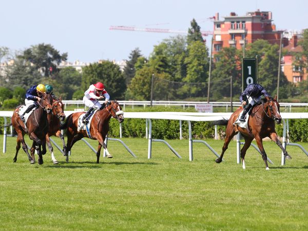 Above The Curve is ridden out by Maxime Guyon