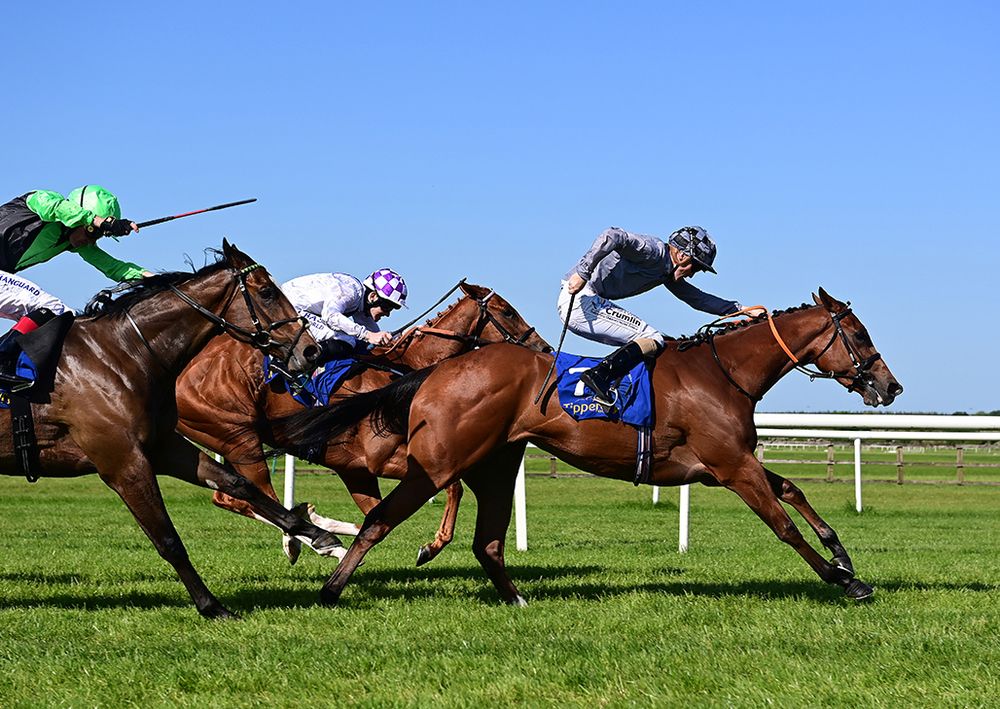 Collage is ridden out by Billy Lee to beat Golden Spangle (inside) and City Exile