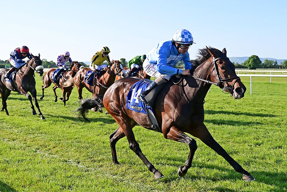 Gabriella's Spirit and Shane Foley