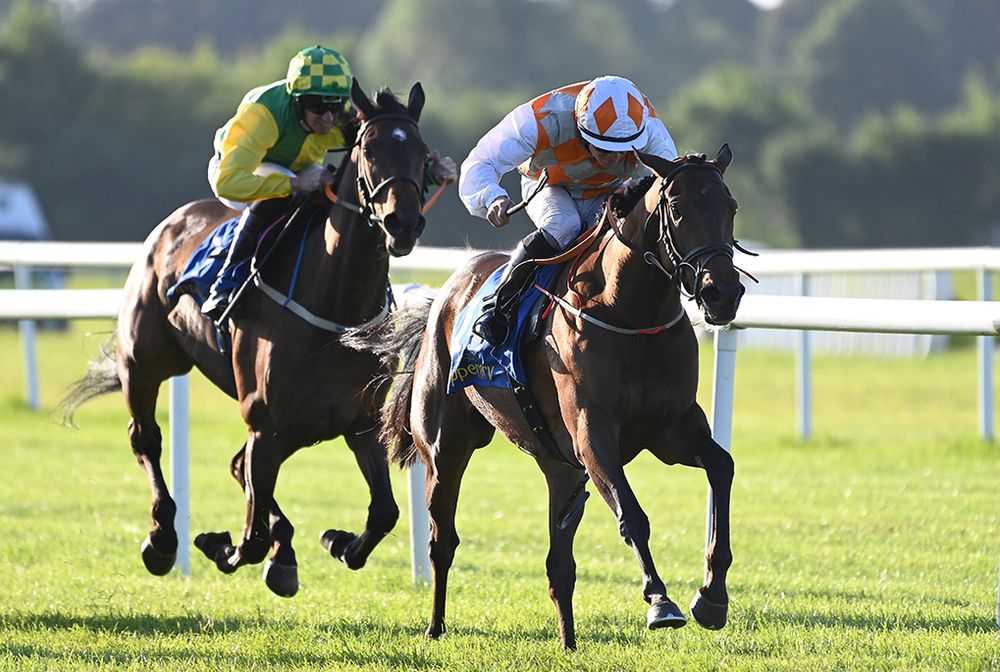 Tastytee is ridden out by Wayne Lordan to beat Areana