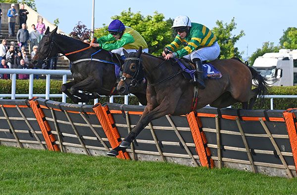  Search For A Myth (nearest) leads Warm In Gorey over the last