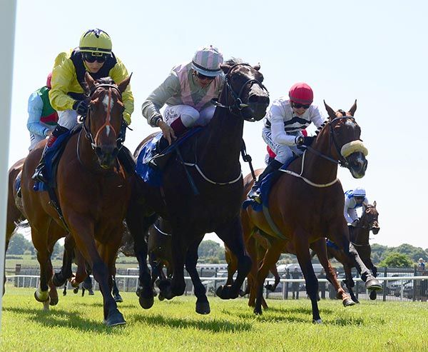 Alfarida (left) pips Master Garvey (centre) with Cherry Pink (noseband) an unlucky third