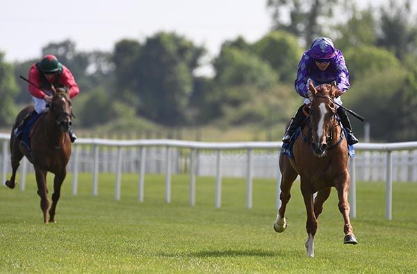 Sapristi is clear under Jamie Powell 