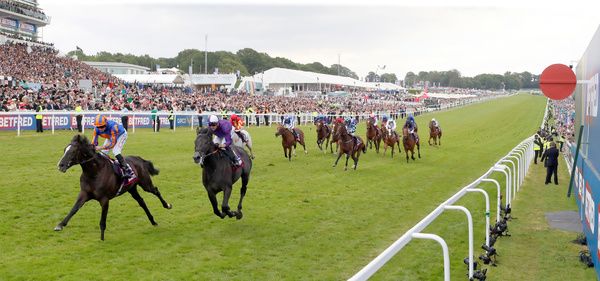 King Of Steel chases home Auguste Rodin in the Derby