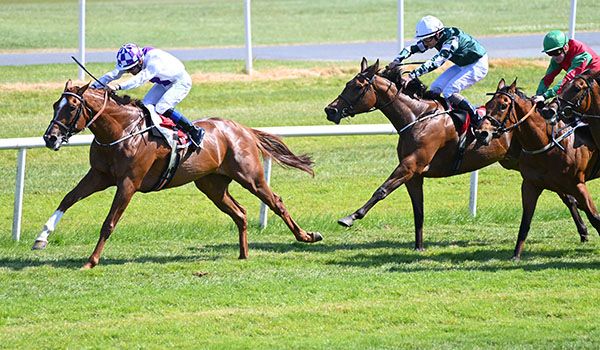 Dawn Session forges on