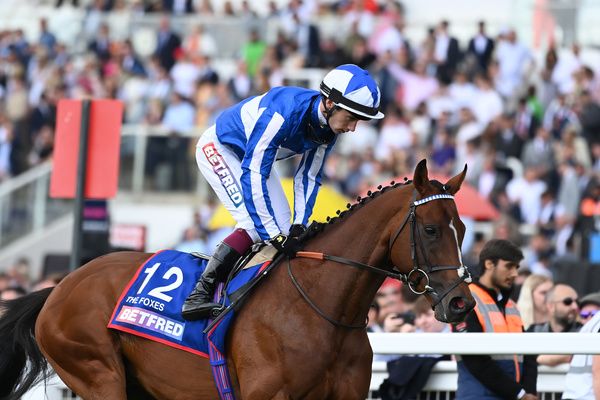 The Foxes and Oisin Murphy