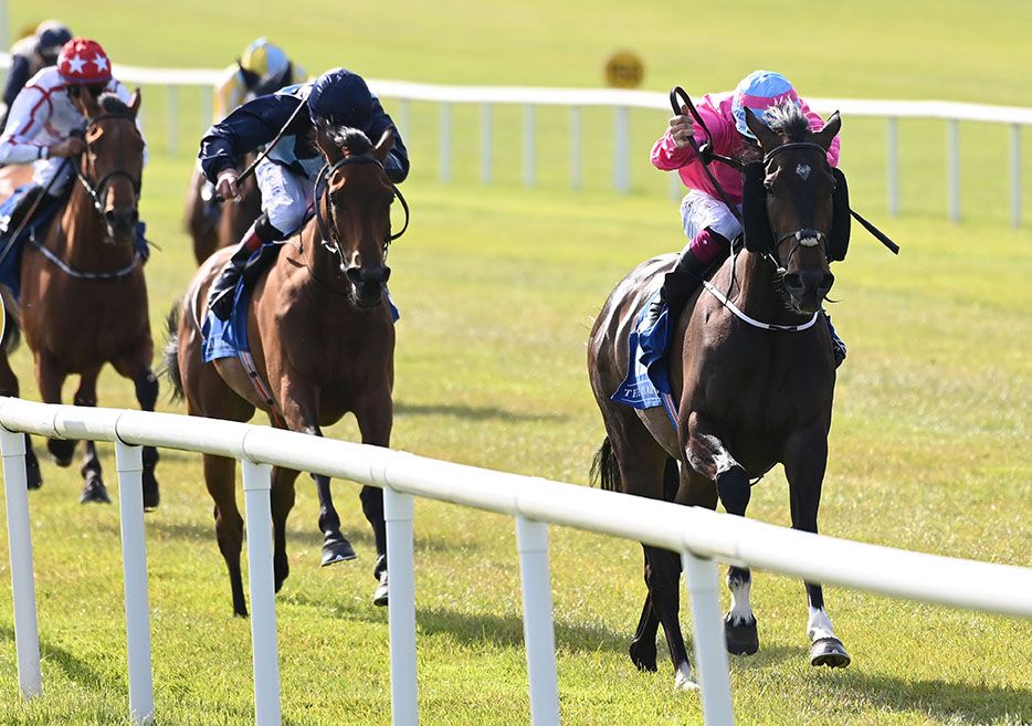 Scarlett O'Hara leads home her rivals under Nathan Crosse