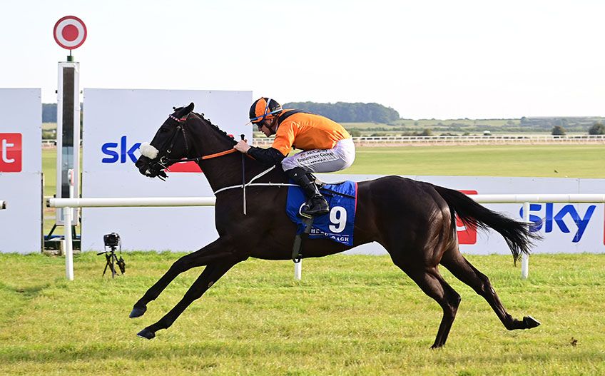 Miracle Nation comes home a comfortable winner under Gary Halpin