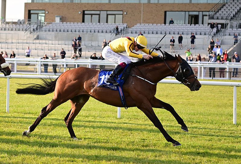 Blanc De Noir is ridden out by Nathan Crosse