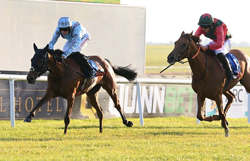 Lionnar and John Gleeson (left) lead home Beauforts Storm and David Doyle