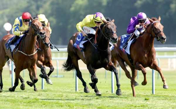 Sea Silk Road returns to Haydock for Lancashire Oaks | irishracing.com