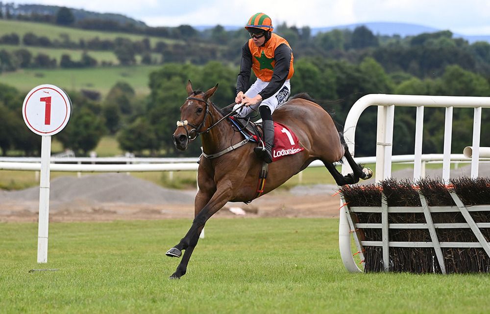 Arctic Fly and Jack Foley won for owner Brendan O Sullivan and trainer Willie Mullins 