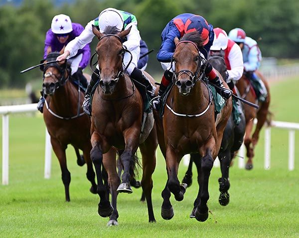 Pearls And Rubies and Ryan Moore left win the Lynn Lodge Stud Maiden from I Am Invictus right 