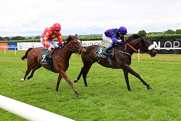 Screen Siren and Chris Hayes right win the Navan Handicap from Harmony Rose left 