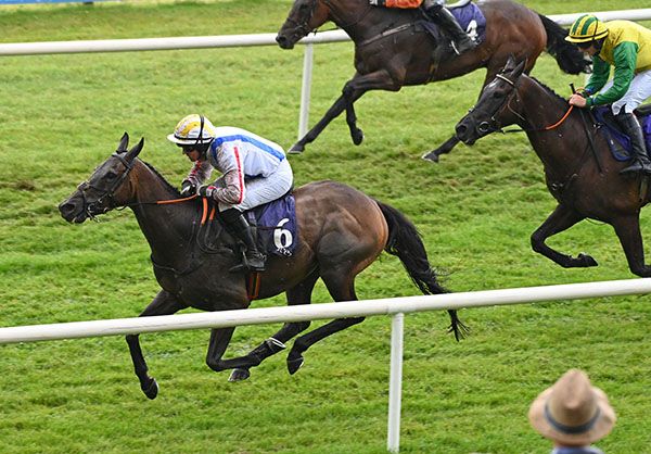 Ballyglass Beauty and Ross Berry