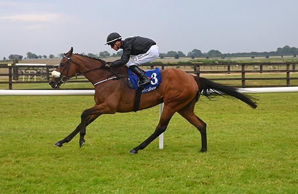 Night Sparkle and Dylan Browne McMonagle