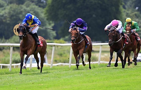The Fog Horn is ridden out by Wayne Lordan