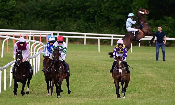 La Prima Donna rears at the start and refuses to race. Space Tourist, yellow and purple, lands the spoils