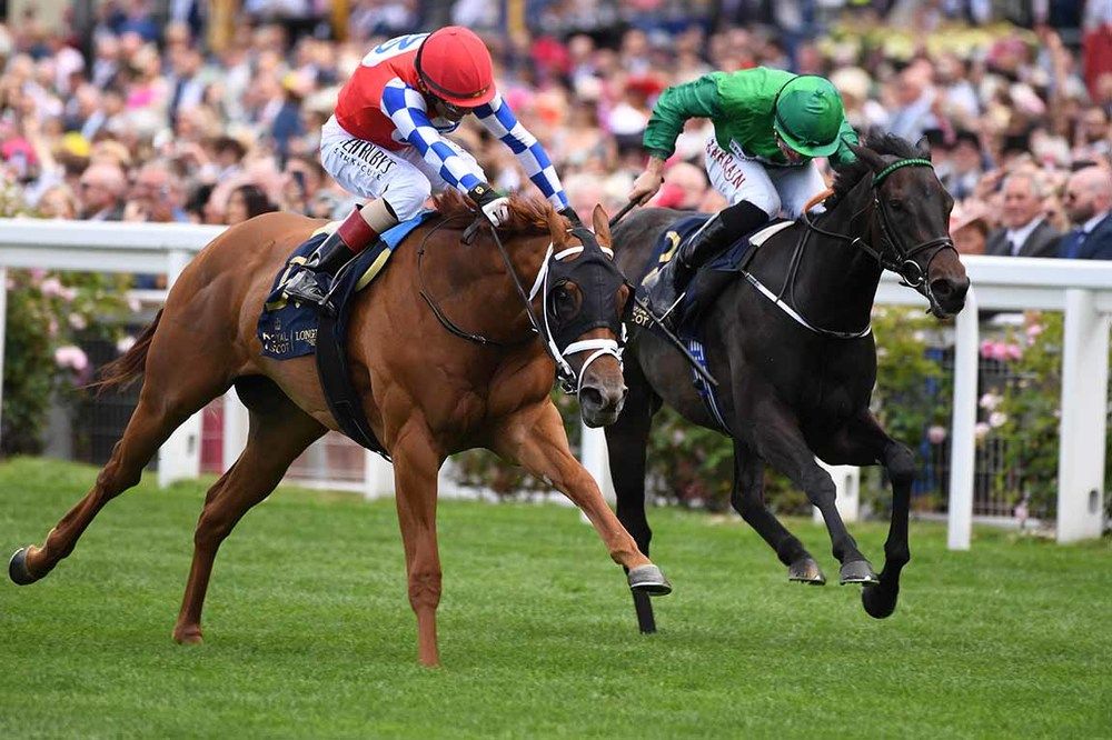 Crimson Advocate (left) beating Relief Rally at Royal Ascot