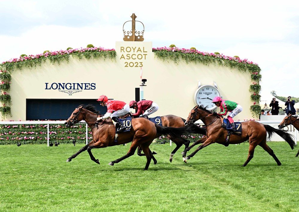 Rogue Millenium and Danny Tudhope won at Royal Ascot.