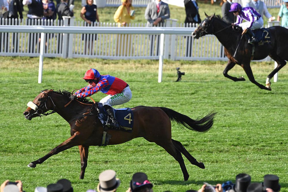 Big Evs could bid to win the Nunthorpe Stakes at York for Mick Appleby 