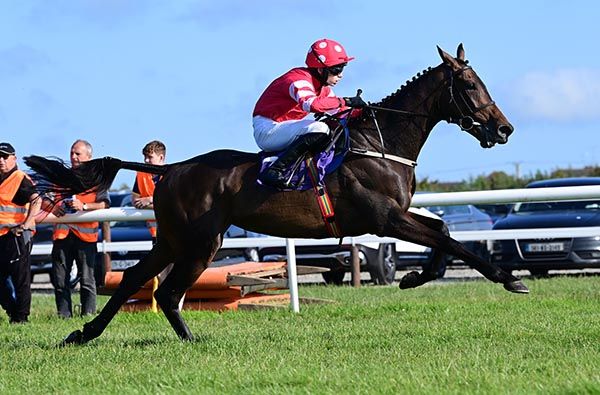 Pink In The Park and Kieran Callaghan 