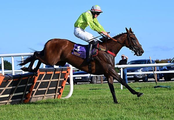  Mousey Brown and Michael Molloy 