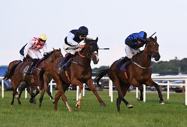 Walmix (nearest) beats Sadies Diamond