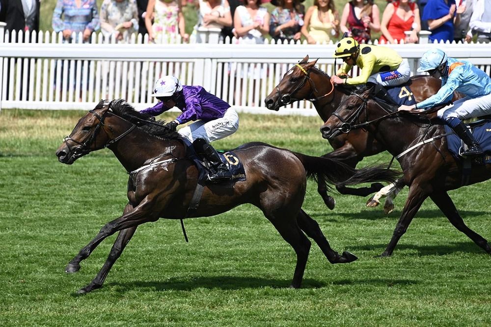 Valiant Force winning at Royal Ascot