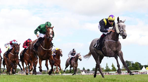 Pinot Gris followed up his Down Royal win with impressive Leopardstown success. 