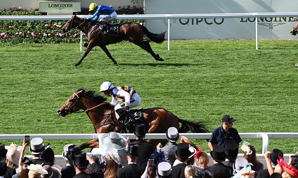 Docklands looks set to run in the Queen Anne Stakes 