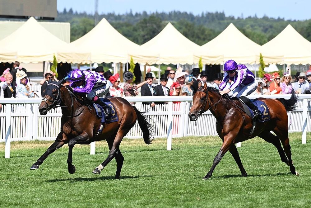 Shaquille added to his Royal Ascot success with July Cup win on Saturday. 