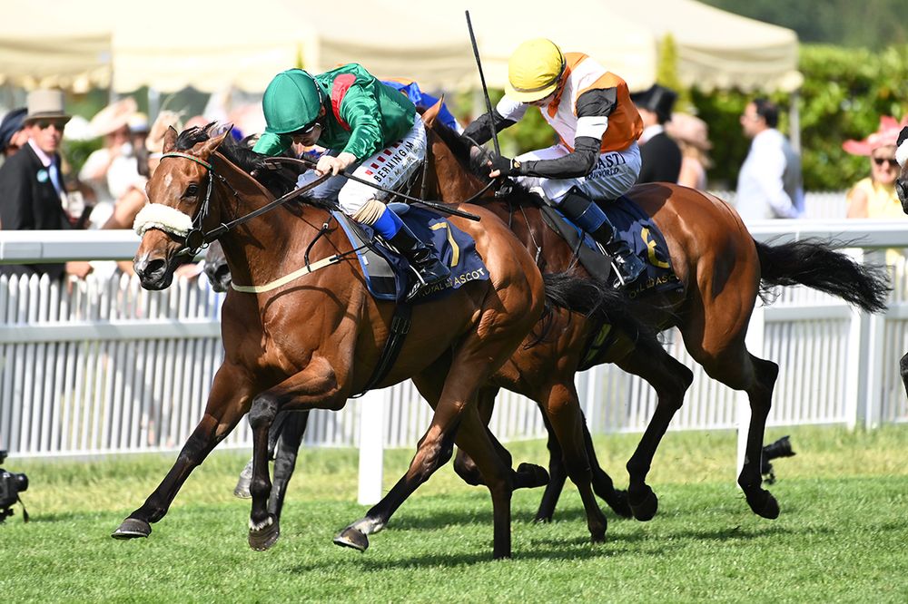 Tahiyra and Chris Hayes won the Coronation Stakes at Royal Ascot on her last start. 