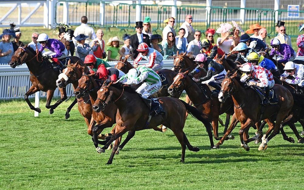 Witch Hunter (green and white stripes) seen winning at Royal Ascot
