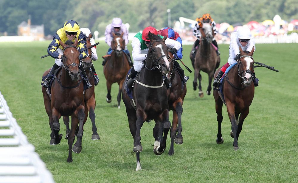 Pyldriver winning The Hardwicke Stakes for trainers William Muir  Chris Grassick 