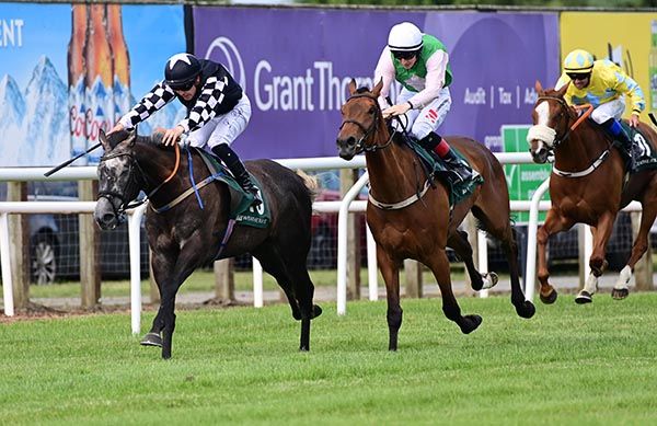 Londonofficecallin, left, beats Stoke The Fire