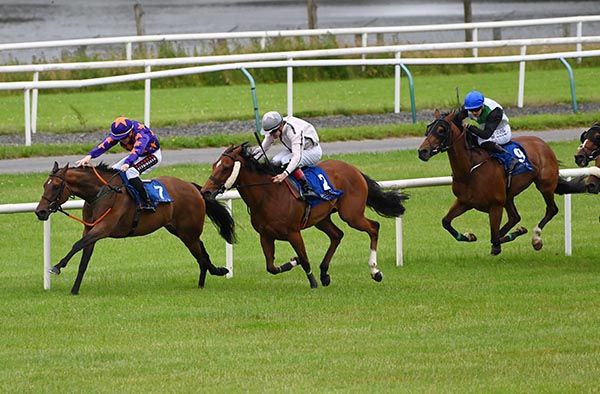 Jake Coen is without a rein on Lady Arwen (left, 7)