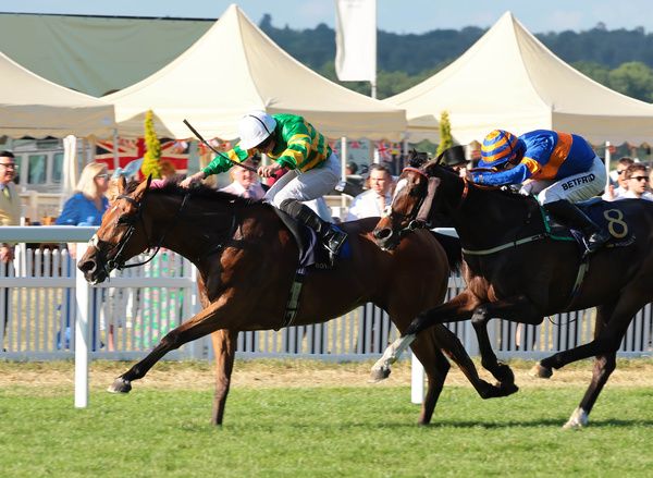 Dawn Rising, far side, wins a stamina test