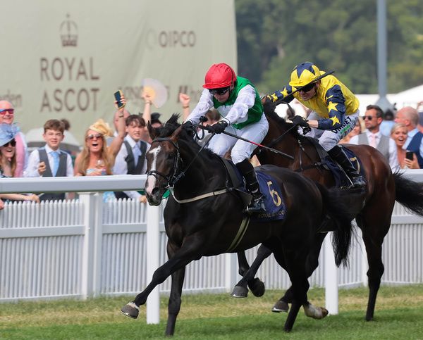 Pyledriver goes for home in Royal Ascot