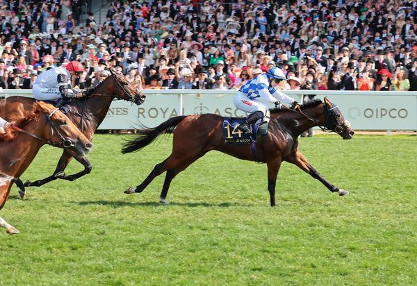 Hollie Doyle steers Saint Lawrence home