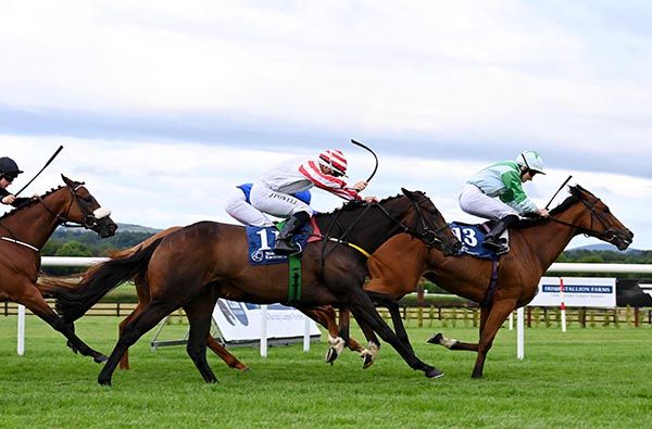 Hasten Slowly chases Hastily (13)