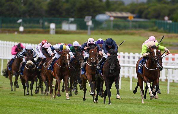 Mountain Bear, dark blue, leads them home