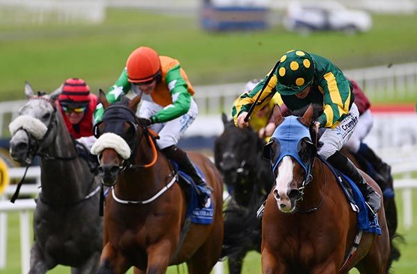 Verhoyen, spotted cap, brings up his sixth Curragh success