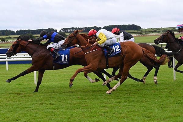 The Franchise and Declan McDonogh (black) beat Booyea