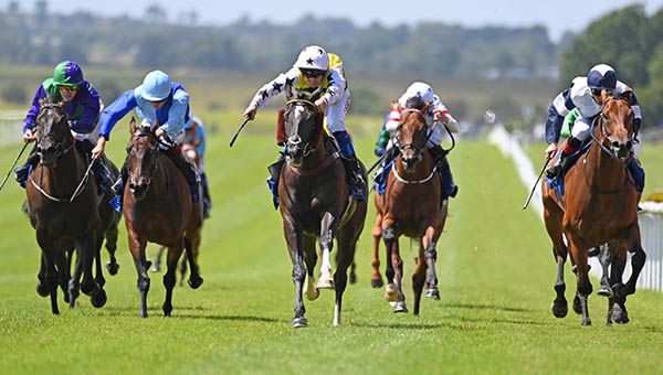 Commanche Falls and Connor Beasley followed up their Curragh win with another battling display. 
