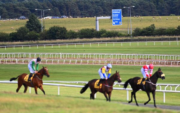 The Curragh